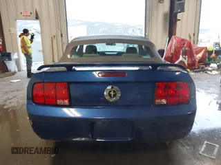 2006 Ford Mustang Standard with VIN 1ZVFT84N365217671, listed as a IAAI auction lot 41633515 with 80,637 mi miles and . Bid and sale history available at DreamBid. Image 17.