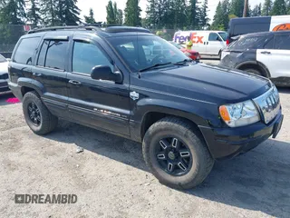 2000 Jeep Grand Cherokee Limited with VIN 1J4GW58NXYC309294, listed as a IAAI auction lot 42555783 with 163,199 mi miles and . Bid and sale history available at DreamBid. Image 1.