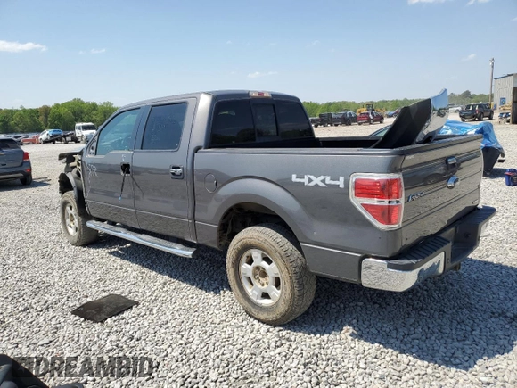 2013 Ford F-150 XL with VIN 1FTFW1EF6DKE27821, listed as a Copart auction lot 53462845 with 247,979 mi miles and Salvage title. Bid and sale history available at DreamBid. Image 2.