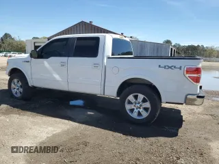 2009 Ford F-150 XL с VIN 1FTPW14V99KC94153, выставлен на аукционе Copart как лот 49473415 с пробегом 202 809 миль миль и Списание • Salvage title. История ставок и продаж доступна на DreamBid. Изображение 2.