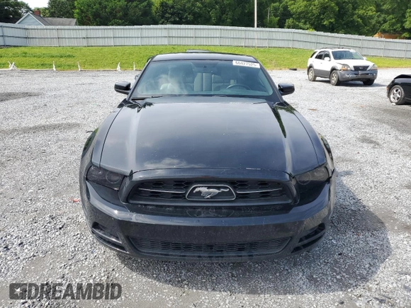 2013 Ford Mustang V6 z VIN 1ZVBP8AM1D5238157, wystawiony jako Copart lot #60427525 z przebiegiem 133 512 mil mil oraz Szkoda całkowita • Salvage title. Historia ofert i sprzedaży dostępna na DreamBid. Obrazek 5.