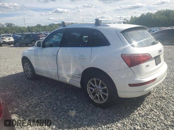 2010 Audi Q5 Premium Plus with VIN WA1LKAFP3AA029919, listed as a Copart auction lot 65747725 with 145,269 mi miles and Clean title. Bid and sale history available at DreamBid. Image 2.