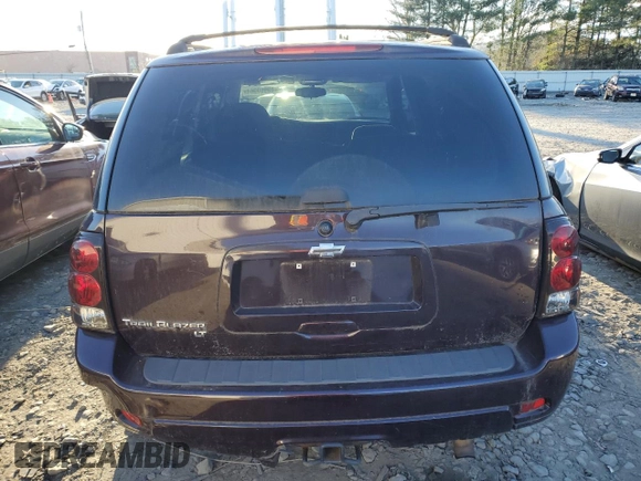 2008 Chevrolet TrailBlazer 1LT with VIN 1GNDT13S282213101, listed as a Copart auction lot 83969364 with 122,477 mi miles and Salvage Title. Bid and sale history available at DreamBid. Image 6.
