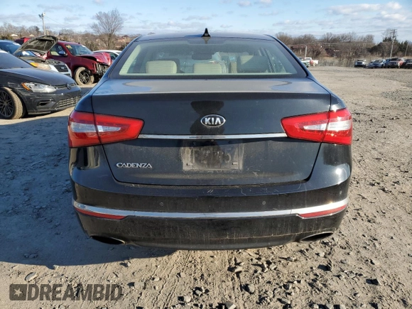 2014 Kia Cadenza Premium with VIN KNALN4D71E5161624, listed as a Copart auction lot 46148195 with 138,563 mi miles and Clean Title. Bid and sale history available at carsss.com. Image 6.