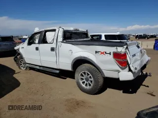 2009 Ford F-150 XL with VIN 1FTPW14V19FA66429, listed as a Copart auction lot 46923705 with 157,630 mi miles and Non Repairable. Bid and sale history available at DreamBid. Image 2.