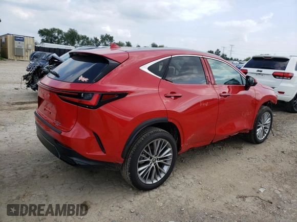 2023 Lexus NX 350h Luxury with VIN 2T2HKCEZ3PC015304, listed as a Copart auction lot 63132423 with Not Provided miles and . Bid and sale history available at DreamBid. Image 3.