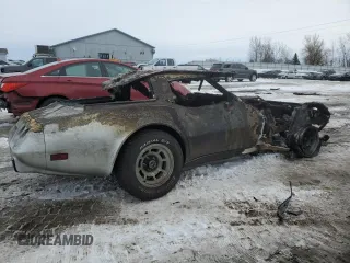 1978 Chevrolet Corvette z VIN 1Z87L8S408161, wystawiony jako Copart lot #42290205 z przebiegiem Nie podano mil oraz Czysty tytuł • Clean title. Historia ofert i sprzedaży dostępna na DreamBid. Obrazek 3.