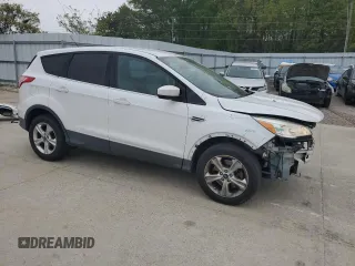 2014 Ford Escape SE with VIN 1FMCU9GX8EUA54151, listed as a Copart auction lot 51424195 with 173,161 mi miles and Salvage title. Bid and sale history available at DreamBid. Image 4.