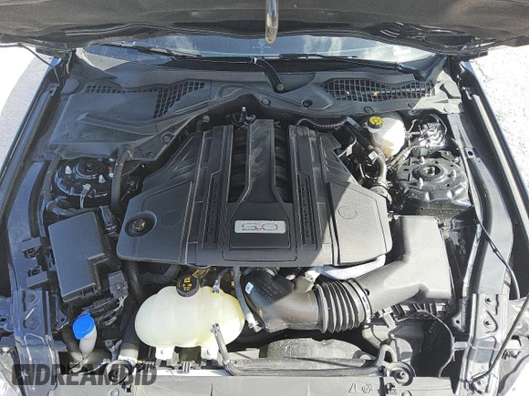 2021 Ford Mustang GT with VIN 1FA6P8CF8M5147413, listed as a Copart auction lot 62495695 with 16,014 mi miles and Clean title. Bid and sale history available at DreamBid. Image 11.