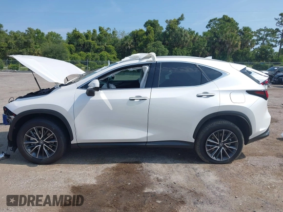 2025 Lexus NX 250 Premium with VIN 2T2GDCAZ0SC017127, listed as a IAAI auction lot 42325758 with 9,735 mi miles and . Bid and sale history available at DreamBid. Image 14.