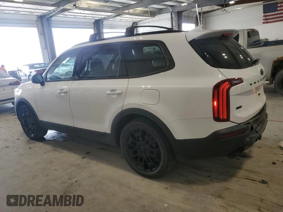 2021 Kia Telluride SX with VIN 5XYP5DHC7MG152914, listed as a Copart auction lot 54172835 with 109,105 mi miles and Salvage title. Bid and sale history available at DreamBid. Image 2.