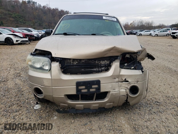 2007 Ford Escape Limited with VIN 1FMCU94187KA21164, listed as a Copart auction lot 78499824 with 189,016 mi miles and Salvage Title. Bid and sale history available at carsss.com. Image 5.