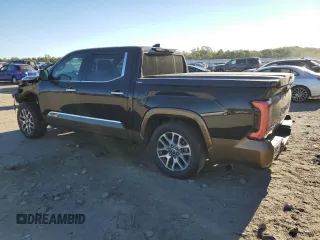2022 Toyota Tundra 1794 Edition with VIN 5TFMA5DB6NX009193, listed as a Copart auction lot 74429534 with 49,570 mi miles and Salvage title. Bid and sale history available at DreamBid. Image 2.