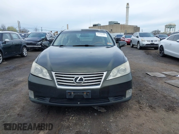 2010 Lexus ES 330 with VIN JTHBK1EG8A2348437, listed as a IAAI auction lot 42020386 with 232,156 mi miles and . Bid and sale history available at DreamBid. Image 12.