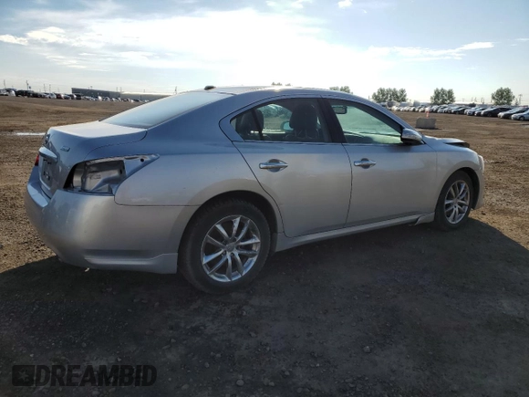 2010 Nissan Maxima SV with VIN 1N4AA5AP7AC871283, listed as a Copart auction lot 66394785 with 295,925 mi miles and Salvage title. Bid and sale history available at DreamBid. Image 3.