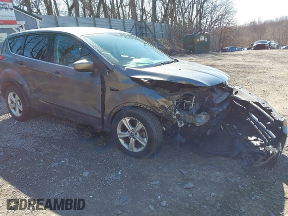 2014 Ford Escape SE z VIN 1FMCU0G99EUB25967, wystawiony jako IAAI lot #41805970 z przebiegiem 72 770 mil mil oraz . Historia ofert i sprzedaży dostępna na DreamBid. Obrazek 1.