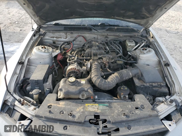 2006 Ford Mustang Standard with VIN 1ZVFT84N065226215, listed as a Copart auction lot 55126545 with 193,245 mi miles and Clean Title. Bid and sale history available at carsss.com. Image 11.