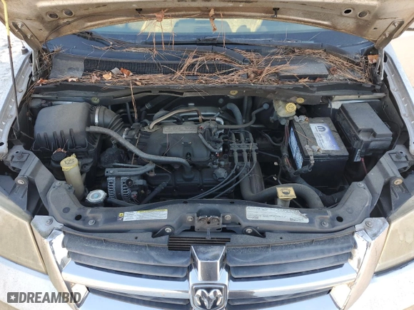 2010 Dodge Grand Caravan SXT with VIN 2D4RN5D13AR462331, listed as a Copart auction lot 78820794 with 496,239 mi miles and Clean Title. Bid and sale history available at carsss.com. Image 12.