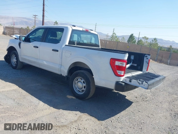2023 Ford F-150 XL with VIN 1FTEW1EB5PKD32258, listed as a IAAI auction lot 42718821 with 44,110 mi miles and . Bid and sale history available at DreamBid. Image 3.