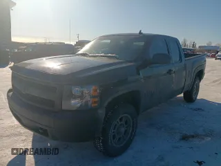 2007 Chevrolet Silverado 1500 Work Truck with VIN 1GCEK19C67Z585322, listed as a Copart auction lot 49330805 with 233,005 mi miles and Salvage Title. Bid and sale history available at carsss.com. Image 1.