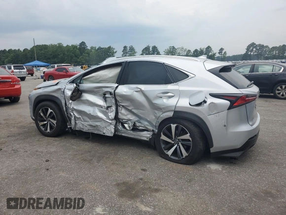 2018 Lexus NX 300 with VIN JTJYARBZ9J2100021, listed as a Copart auction lot 62465225 with Not provided miles and Salvage title. Bid and sale history available at DreamBid. Image 2.