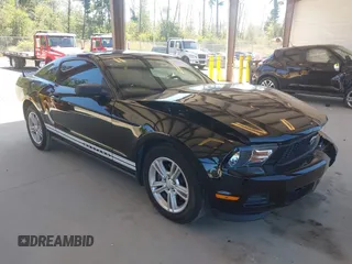2011 Ford Mustang V6 with VIN 1ZVBP8AM6B5105584, listed as a IAAI auction lot 42686108 with 143,296 mi miles and . Bid and sale history available at DreamBid. Image 1.