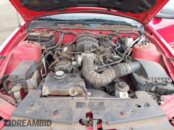 2009 Ford Mustang with VIN 1ZVHT84N295118580, listed as a IAAI auction lot 41378847 with 95,813 mi miles and . Bid and sale history available at DreamBid. Image 10.