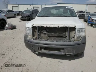 2009 Ford F-150 XL with VIN 1FTRF14W99KB43928, listed as a Copart auction lot 49001195 with 162,097 mi miles and Salvage title. Bid and sale history available at DreamBid. Image 5.