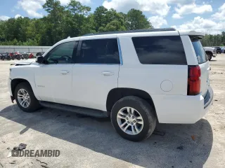 2017 Chevrolet Tahoe LS with VIN 1GNSCAKC3HR339041, listed as a Copart auction lot 61076165 with 161,652 mi miles and Salvage title. Bid and sale history available at DreamBid. Image 2.