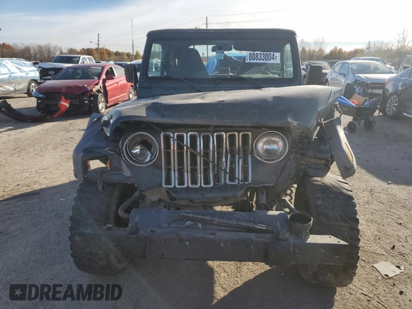 2002 Jeep Wrangler SE with VIN 1J4FA29P72P723223, listed as a Copart auction lot 80833004 with Not Provided miles and Salvage Title. Bid and sale history available at DreamBid. Image 5.