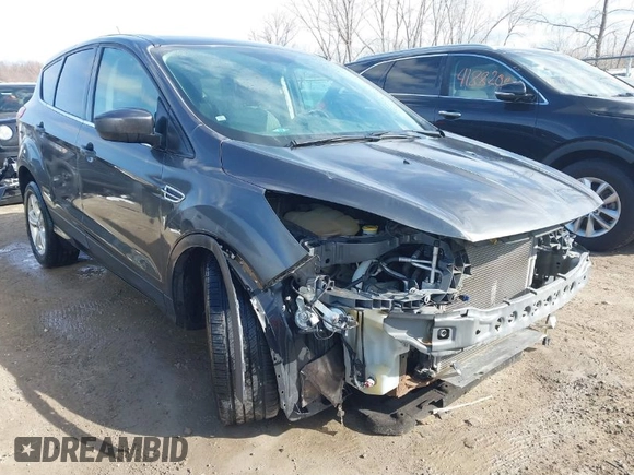 2016 Ford Escape SE with VIN 1FMCU0G78GUA20032, listed as a IAAI auction lot 41853044 with 117,005 mi miles. Bid and sale history available at carsss.com. Image 1.