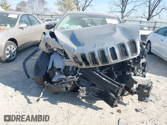 2016 Jeep Cherokee Sport with VIN 1C4PJMAB6GW294157, listed as a IAAI auction lot 41786025 with 181,437 mi miles and . Bid and sale history available at DreamBid. Image 12.