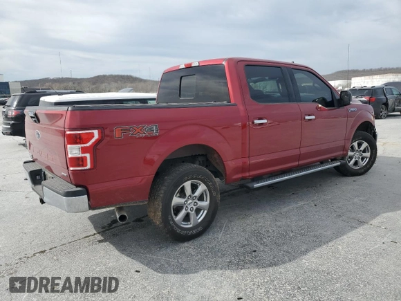 2019 Ford F-150 XL with VIN 1FTEW1E40KKD81460, listed as a Copart auction lot 49343765 with 86,167 mi miles and Salvage Title. Bid and sale history available at carsss.com. Image 3.