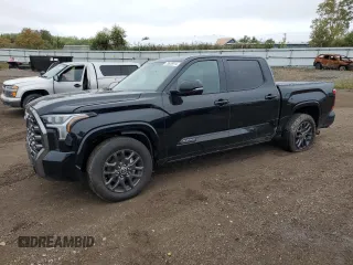 2022 Toyota Tundra Platinum with VIN 5TFNA5DB9NX028910, listed as a Copart auction lot 73638914 with 25,404 mi miles and Salvage title. Bid and sale history available at DreamBid. Image 1.