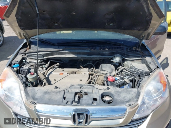 2008 Honda CR-V EX with VIN JHLRE48528C009876, listed as a IAAI auction lot 41950244 with 21,518 mi miles. Bid and sale history available at carsss.com. Image 10.