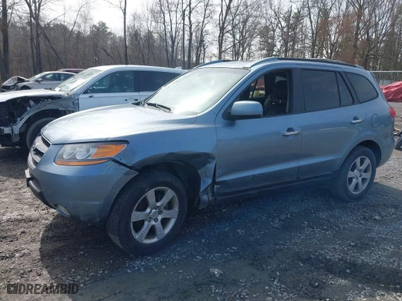 2009 Hyundai Santa Fe SE with VIN 5NMSH13E69H332648, listed as a IAAI auction lot 41948343 with 164,653 mi miles. Bid and sale history available at carsss.com. Image 6.