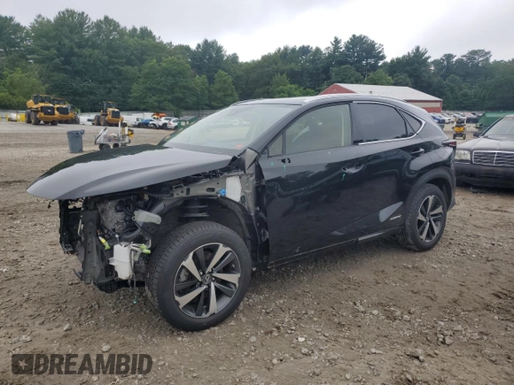 2021 Lexus NX 300h with VIN JTJGJRDZ8M2150521, listed as a Copart auction lot 62656295 with 62,746 mi miles and Salvage title. Bid and sale history available at DreamBid. Image 1.