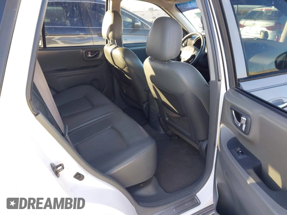 2002 Hyundai Santa Fe GLS with VIN KM8SC73D82U294374, listed as a IAAI auction lot 41204011 with 179,219 mi miles. Bid and sale history available at carsss.com. Image 8.