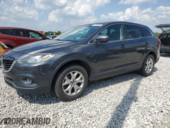 2014 Mazda CX-9 Touring with VIN JM3TB3CA2E0429197, listed as a Copart auction lot 62113795 with 160,204 mi miles and Clean title. Bid and sale history available at DreamBid. Image 1.