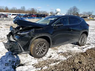 2022 Lexus NX with VIN JTJGGCEZ3N2005494, listed as a Copart auction lot 41362565 with 0 mi miles and Salvage Title. Bid and sale history available at carsss.com. Image 1.