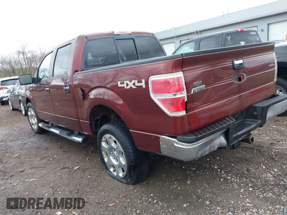 2009 Ford F-150 XL with VIN 1FTPW14V09FA04651, listed as a IAAI auction lot 41819914 with 114,241 mi miles and . Bid and sale history available at DreamBid. Image 3.