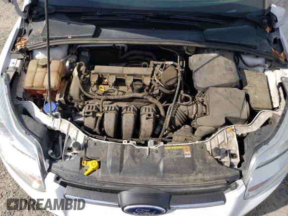 2013 Ford Focus SE with VIN 1FADP3K25DL117032, listed as a Copart auction lot 53488465 with 76,288 mi miles and Salvage Title. Bid and sale history available at carsss.com. Image 11.