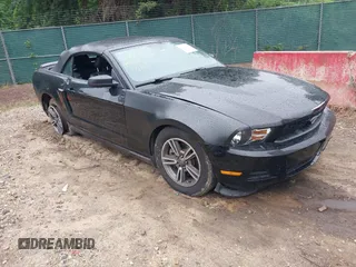 2011 Ford Mustang V6 with VIN 1ZVBP8EM7B5139351, listed as a IAAI auction lot 42471805 with 80,513 mi miles and . Bid and sale history available at DreamBid. Image 1.