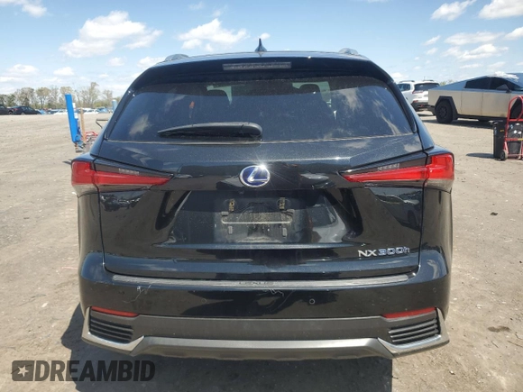 2019 Lexus NX 300h with VIN JTJBJRBZ7K2097983, listed as a Copart auction lot 50781455 with 70,253 mi miles and Salvage title. Bid and sale history available at DreamBid. Image 6.