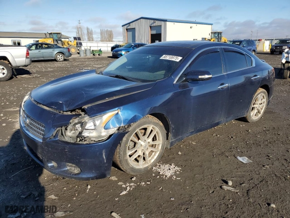 2009 Nissan Maxima 3.5 S with VIN 1N4AA51E09C859907, listed as a Copart auction lot 88718975 with 0 mi miles and Salvage Title. Bid and sale history available at carsss.com. Image 1.