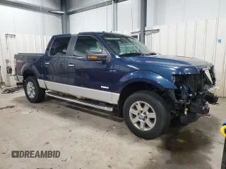 2013 Ford F-150 XL with VIN 1FTFW1ET1DKG51049, listed as a Copart auction lot 44202195 with 133,415 mi miles and Salvage Title. Bid and sale history available at carsss.com. Image 4.
