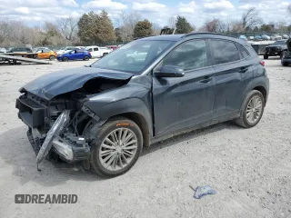 2019 Hyundai Kona SEL with VIN KM8K22AA5KU290488, listed as a Copart auction lot 47829085 with 117,618 mi miles and Salvage Title. Bid and sale history available at carsss.com. Image 1.