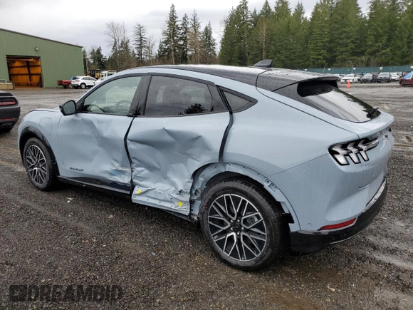 2024 Ford Mustang Mach-E Premium with VIN 3FMTK3SU2RMA20989, listed as a Copart auction lot 46370085 with 54 mi miles and Salvage Title. Bid and sale history available at DreamBid. Image 2.