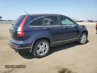 2010 Honda CR-V EX with VIN 5J6RE4H56AL096484, listed as a Copart auction lot 49945545 with 0 mi miles and Clean Title. Bid and sale history available at carsss.com. Image 3.