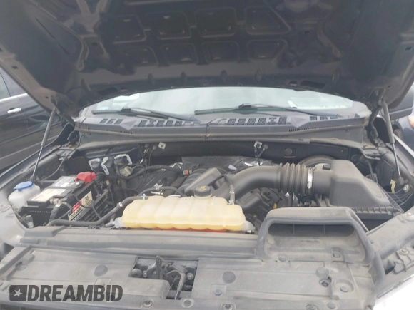 2018 Ford F-150 XL with VIN 1FTMF1C53JKE85608, listed as a IAAI auction lot 41823771 with 142,151 mi miles. Bid and sale history available at carsss.com. Image 10.